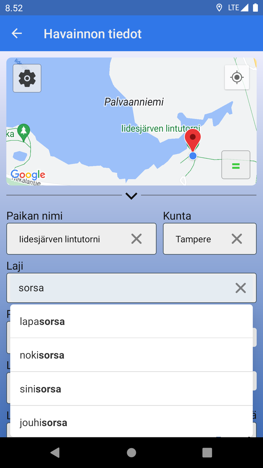 Pinnasieppo Havainto